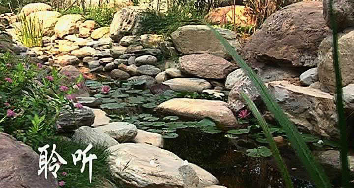房地產(chǎn)宣傳片。建業(yè)集團(tuán)