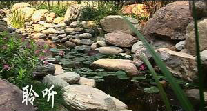 房地產(chǎn)宣傳片。建業(yè)集團(tuán)