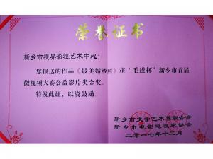 榮譽(yù)證書：《最美婚紗照》獲金獎(jiǎng)