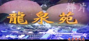風光片。龍泉苑