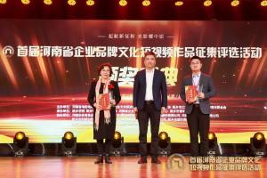 實(shí)力鑄就品牌！努力鑄就輝煌！視界影視再次斬獲全國(guó)影視大獎(jiǎng)！