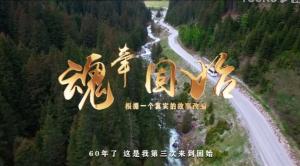 搞笑喜劇。《劍橋城》